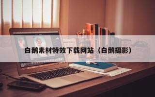 临猗白鹅素材特效下载网站（白鹅摄影）